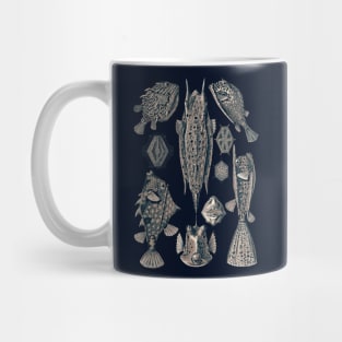 Ernst Haeckel Ostraciontes Fish Lavander Grey Mug